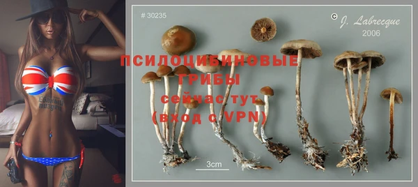 гидропоника Абдулино