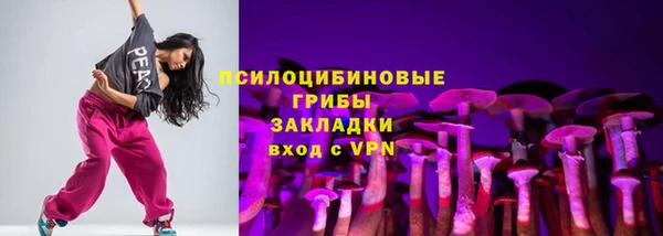 PSILOCYBIN Абаза