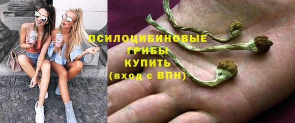 2c-b Алзамай