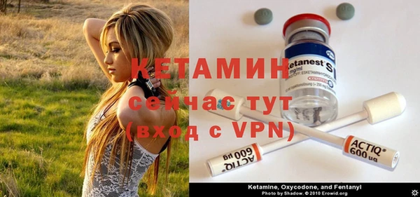 стаф Осинники